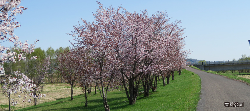 春採公園